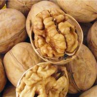 2021 walnuts Raw organic walnuts Thin skin walnut
