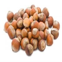 Hazelnuts suppliers Hazelnut kernels/Hazelnut in shell/ Organic hazelnut Roasted , Organi