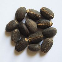 , Jatropha seeds