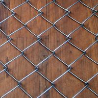 Sell Chain Link Mesh