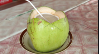 Coconut water in bulk