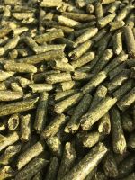 Alfalfa Pellets - Animal Feed