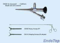 Otoscope with sheath and forceps