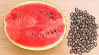 Water Melon Seeds