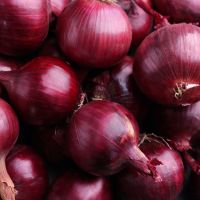 Top Quality red onion fresh red onion