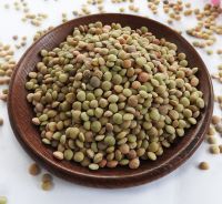 Green Lentils