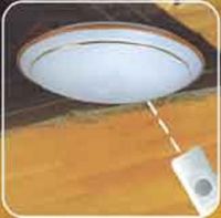 Supply: Ceiling light(remote control)