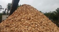 Wood Chips Good Quality