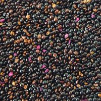 Amaranth Seeds