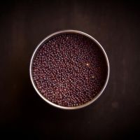 Black Mustard Seed