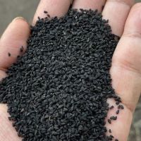 Black Cumin Seed