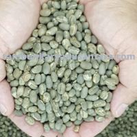 Best Quality Arabica Mandheling Green Beans