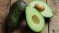 fresh healthy fruit avocado importers Shipping from Vietnam