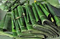 Frozen Banana Leaf_Big Thick High Quality banana leaf