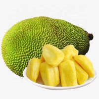 High Quality Fresh Sweet Jackfruit