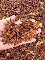 Premium Quality Star Anise Staranise Aniseed Ms.Lucy +84 929 397 651