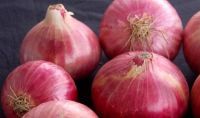 Red Onion