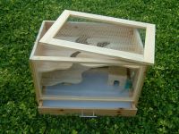 Sell Terrarium Rodents Penthouse Wood Mice Hamsters Rats NEW