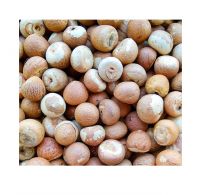 Premium Quality Food Grade Dried Betel Nuts from Reputed Supplier