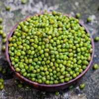 Agricultural crop green mung bean buyers with lower price