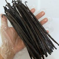 Madagascar vanilla beans, vanilla beans kg, vanilla beans with best price for sale