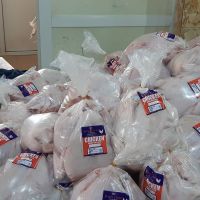 Frozen Chicken Organic Halal Best Quality Turkey