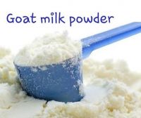 High Quality Goat Milk Available