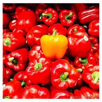 Red And Yellow Habanero Bell Peppers For Export With Cheap Price