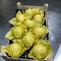 High Quality Quince for Sale