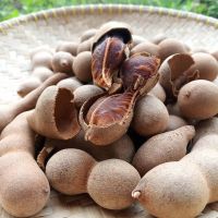 SEEDLESS Tamarind for sale
