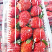 Fresh Strawberry, seedless strawberries