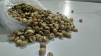 Arabica coffee Beans for sale