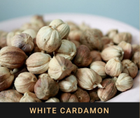 Cardamom