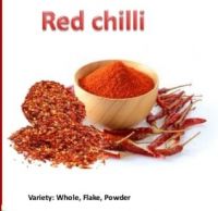 Red Chili - Red pepper - Spices