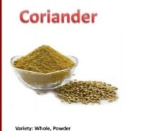 Coriander - Spices