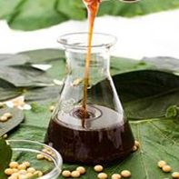 soya lecithin