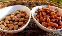 California Almond Nuts