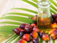 Palm Kernel OIl