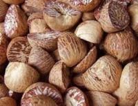 Betal Nut with high quality