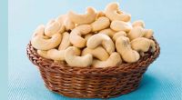 Cashew Nut Kernel