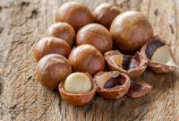 Premium Roasted Macadamia Nuts Kernel With Shell