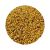 Good Quality Seeds Black Yellow White Mustard For Sale