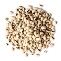 Non-GMO Black Eyed Cowpea With Best Price
