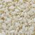 White Sesame Seed Fresh Quality Cheap Price