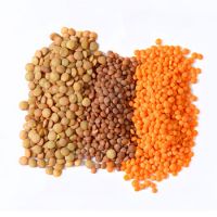 red and yellow lentils