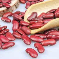 Wholesale Red Speckled Kidney Beans for Sale
