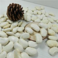 White kidney beans price/Haricot beans/Baked beans