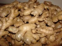 Fresh Ginger