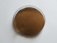 Artichoke Extract Powder