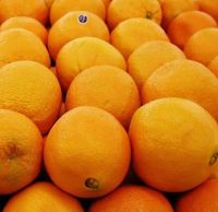 Fresh Oranges